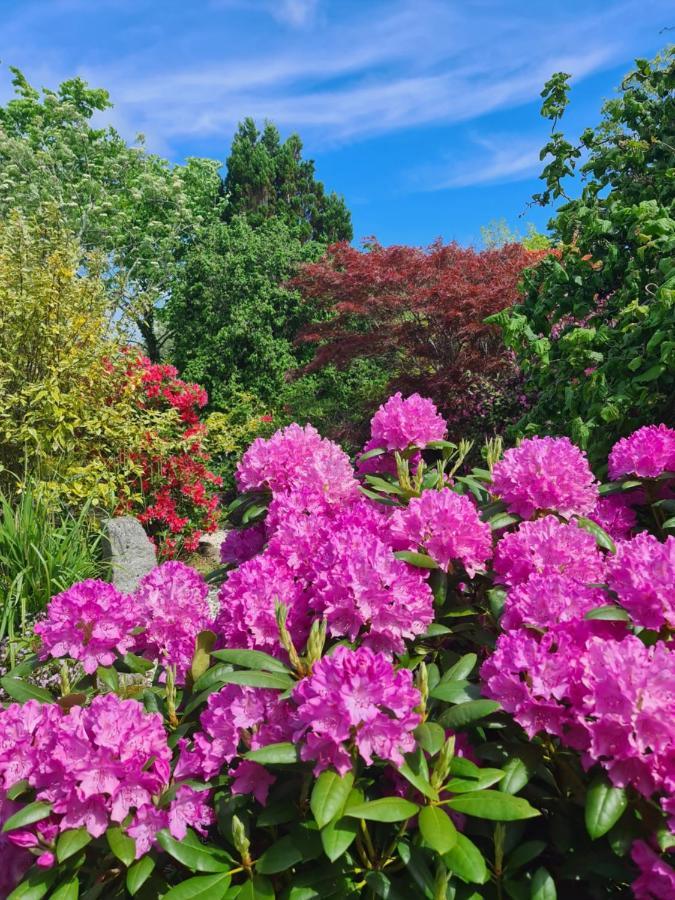 Balcary Bay Country House Hotel Auchencairn Luaran gambar